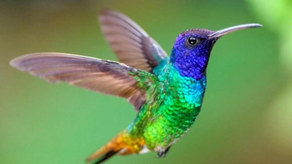 شقة Colibri بلايا ديل كارمن المظهر الخارجي الصورة